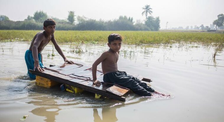 New UN guidance affirms children’s right to a clean, healthy environment