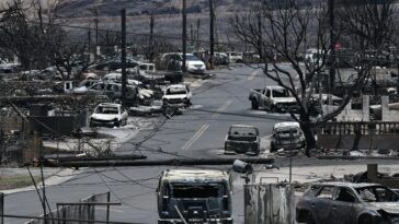 Scenes of devastation as wildfire burns Hawaii resort town