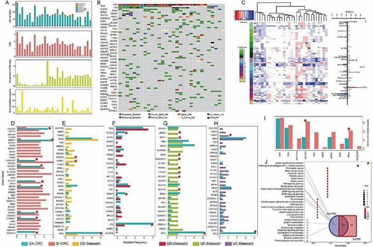 Innovative research on schistosomiasis-associated colorectal cancer (SA-CRC) yields unique insights into genetic mutations and t