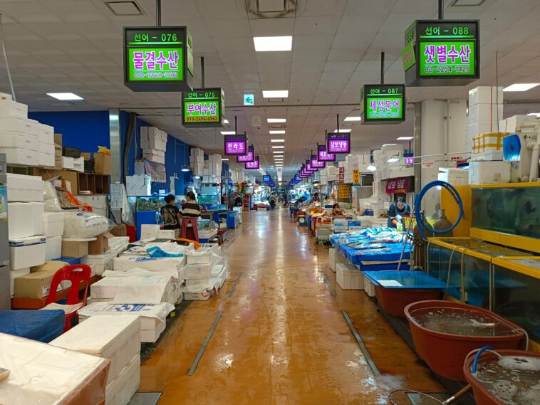 South Korea’s seafood sellers reel as science fails to ease Fukushima fears