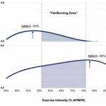 Fat burning during exercise varies widely between individuals