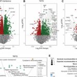 Adipose tissue coregulates cognitive function