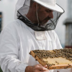 The Beekeepers Who Don’t Want You to Buy More Bees