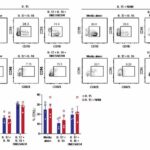 Can a vitamin transform natural killer cells into a cancer therapy? Scientists think the answer is yes