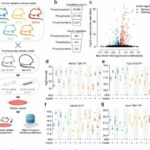 Comprehensive insulin signaling map shows interplay between genes and diet