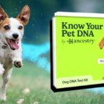 Ancestry launches dog DNA tests