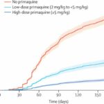 Higher dose antimalarial may be needed to combat relapsing malaria