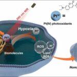 Researchers develop novel photo-oxidation therapy for anticancer treatment