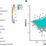 Study finds connection between gut microbiome and bone density