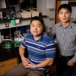 Protein p53 regulates learning, memory, sociability in mice