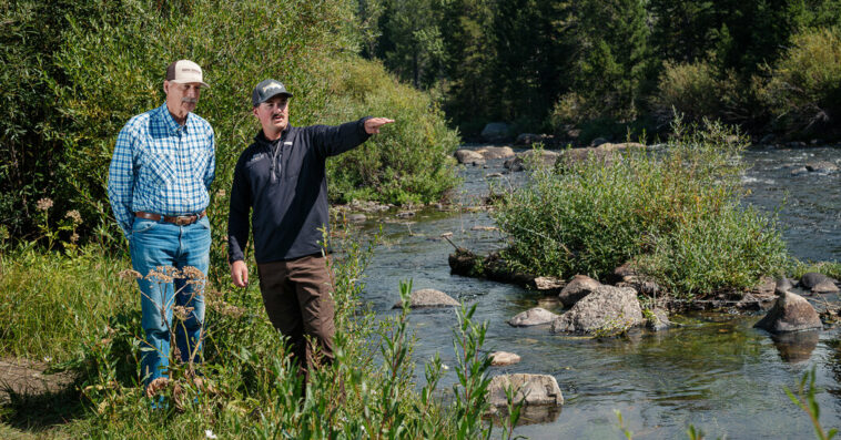 ‘Zombie Trout’ Unsettle Montana, Long a Fly-Fishing Mecca