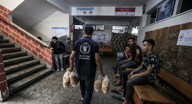 Gaza: Nowhere to go, as humanitarian crisis reaches 'dangerous new low'