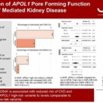 Kidney disease gene found to also have a protective mutation