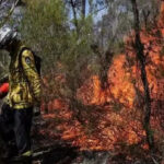 Residents in rural Australia urged to evacuate as bushfires rage