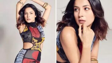 Shehnaaz Gill looks stylish in a multi-coloured cut-out dress