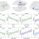 Brain study uncovers new insights into major depressive disorder in adolescents