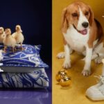 Daniel Lee’s First Holiday Campaign Rains With Ducks and Dogs