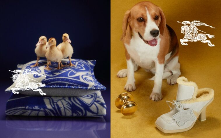 Daniel Lee’s First Holiday Campaign Rains With Ducks and Dogs