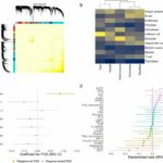 Increased risk factors but not manifestation of disease correlated to placental inflammation