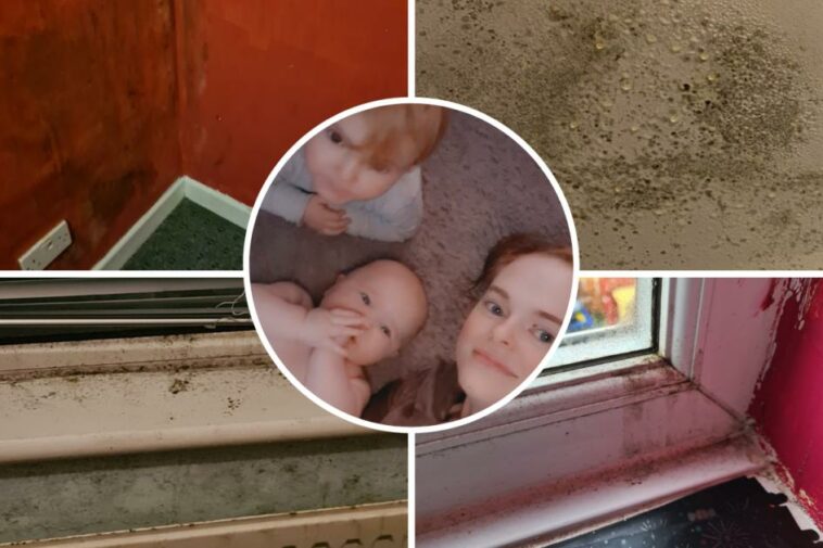 Mum-of-two takes her baby to sleep downstairs over mould fears in her house