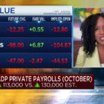 Private sector payrolls rose 113,000 in October, less than expected, ADP says