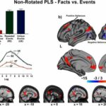 Study identifies how the brain handles different types of memory retrieval