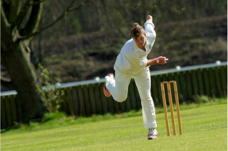 cricket pitching