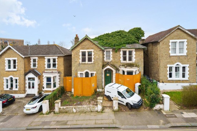 House that appears to have a tree growing out of the roof.