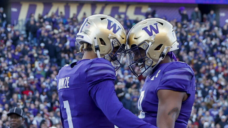 Watch: Controversial call helps set up Washington win over Washington State