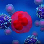 Cell therapy appears safe and effective for lymphoma in remission