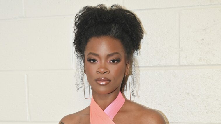 Don't Play With Her! Ari Lennox Comes Close To Throwin' Hands With A Fan (Video)