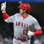 Doubt cast on supposed Shohei Ohtani flight and whereabouts