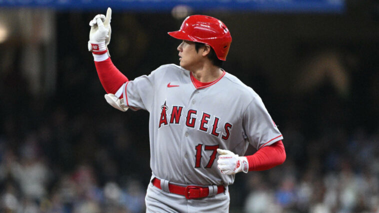 Doubt cast on supposed Shohei Ohtani flight and whereabouts