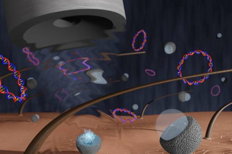 Needle-free ultrasound vaccine delivery #Acoustics23