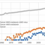 Melatonin and carcinogenesis in mice: The 50th anniversary of relationships