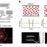 Seeing deep blood flow with sound and laser light