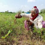 CPI inflation for farm workers, rural labourers fell in May