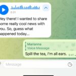 Telegram opens up voice transcription to all users in latest update