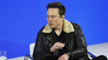 Elon Musk's X to launch peer-to-peer payments this year