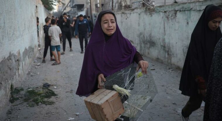 Everyone is hungry in Gaza now: UN humanitarians