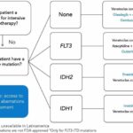 Resource shortages and technological lag remain obstacles for acute myeloid leukemia treatment in Latin America