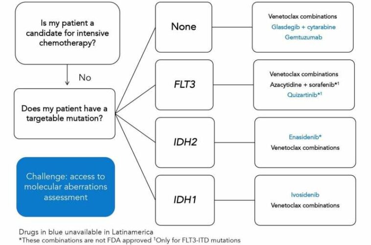 Resource shortages and technological lag remain obstacles for acute myeloid leukemia treatment in Latin America