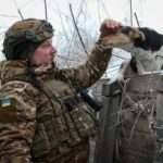 Russia-Ukraine war: List of key events, day 684