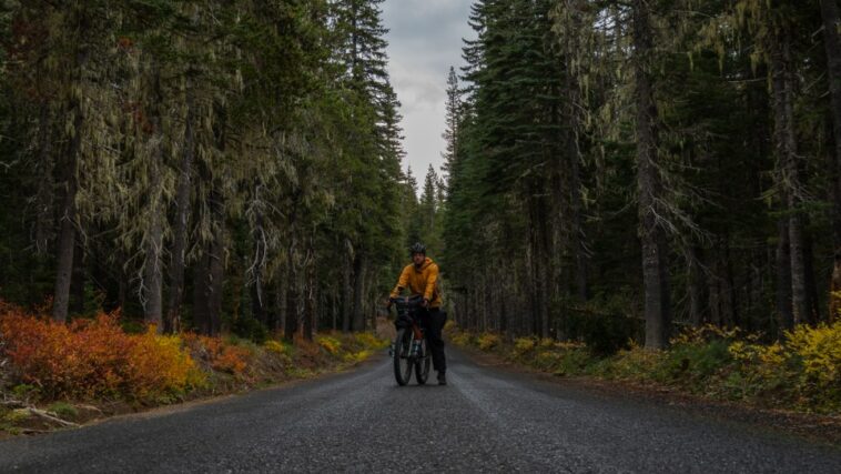 A man in the woods