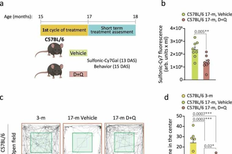 How do we age?: Detecting senescent cells in urine