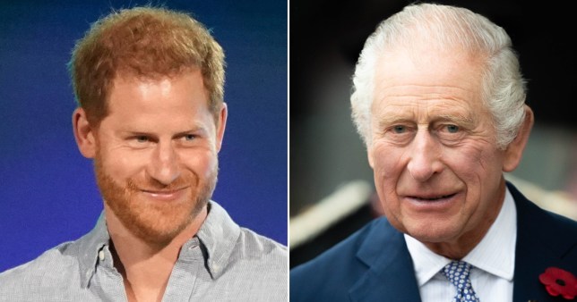 Left: Prince Harry; right: King Charles