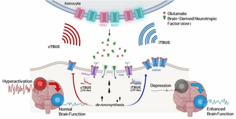 Revolutionary brain stimulation technique shows promise for treating brain disorders