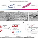 Researchers design new drug delivery system to reverse Alzheimer's disease impact