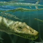 Scientists unveil 240-million-year-old dragon-like reptile