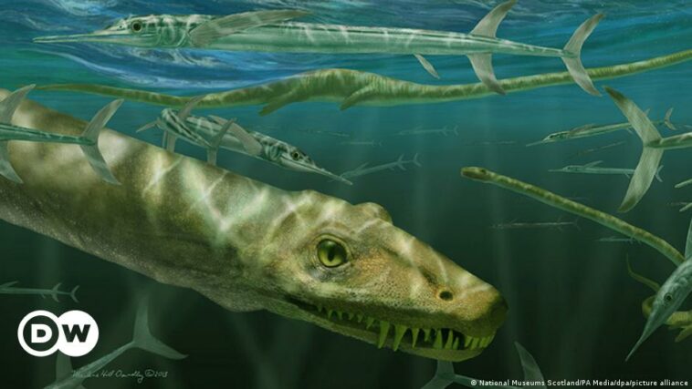 Scientists unveil 240-million-year-old dragon-like reptile